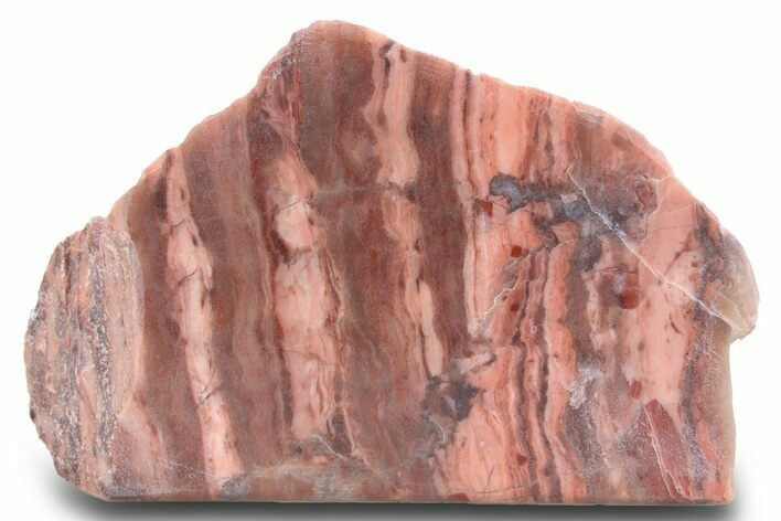Polished Kona Dolomite Section - Michigan #299935